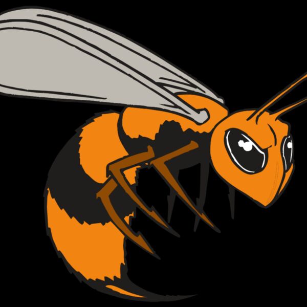 AR BEE 34 RC Thumbnail