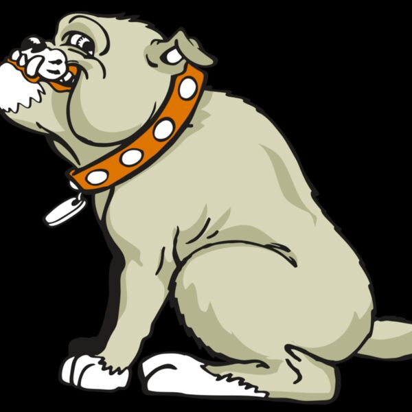 AR BDOG 26 RC Thumbnail