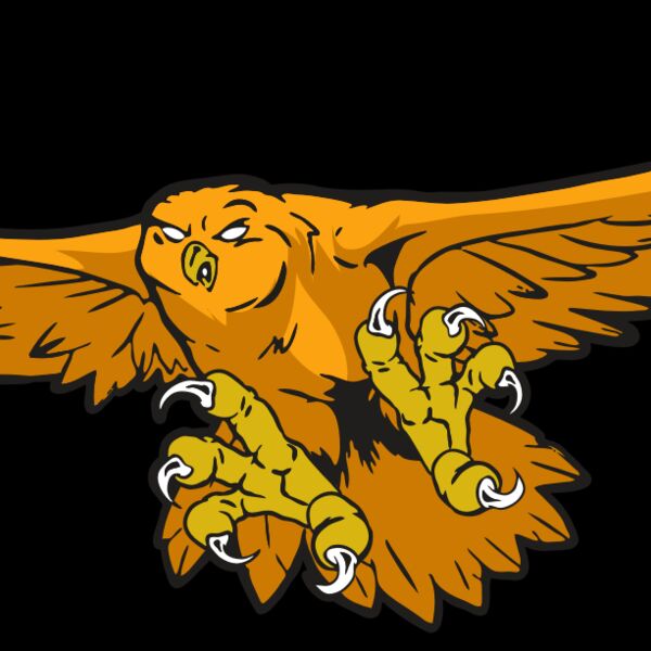 AR31 OWL 01 RQC Thumbnail